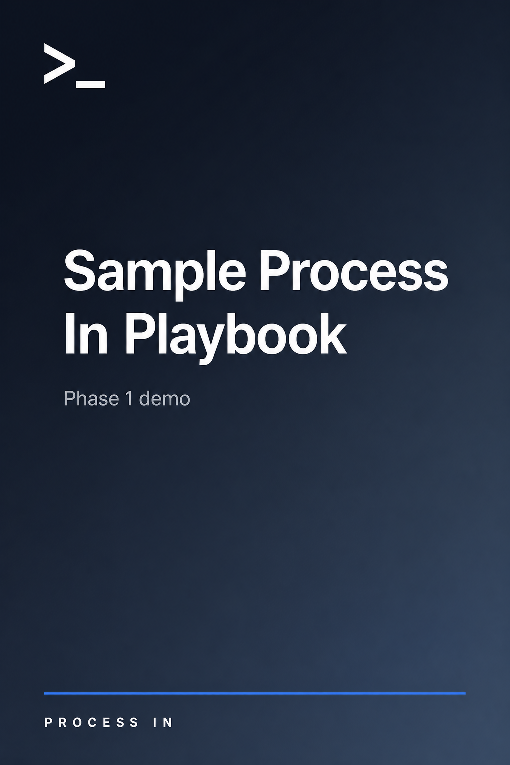 Sample Process In Playbook